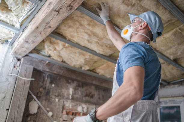 Best Insulation Maintenance and Repair in Pleasant Valley, WV